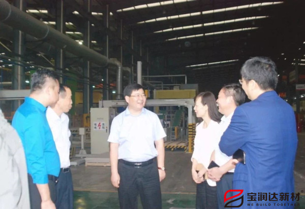 副市長張雪飛蒞臨寶潤達參觀調(diào)研