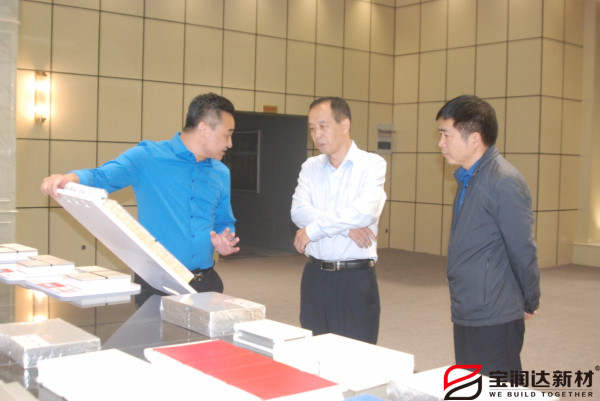 市產(chǎn)業(yè)集聚區(qū)冀偉主任來訪寶潤達參觀